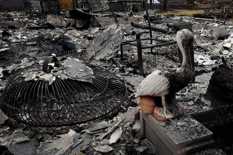 A burnt pelican statue stands among the charred remains of a house after the so-called Valley Fire swept through Middletown in California on Wednesday. The governor of California has declared a state of emergency as raging wildfires spread in the nor