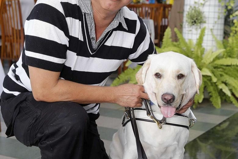Mr Gary Lim, 55, has since built a strong bond with his guide dog Jordie, which he calls "his third son"