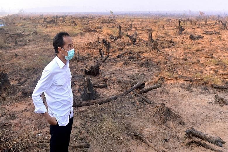 Indonesian President Joko Widodo surveying the burnt land yesterday in Banjarbaru, South Kalimantan, where he also visited emergency workers deployed to help fight the fires there.