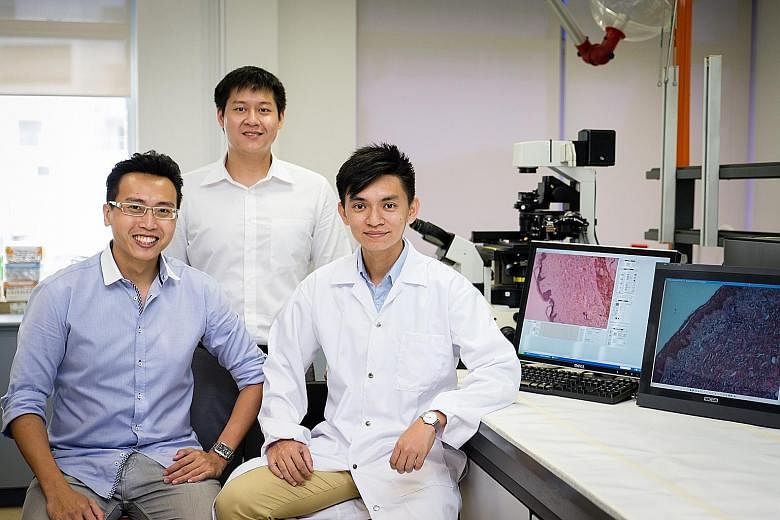 (From left) Mr Tan Ming Jie, Mr Daniel Tan and Dr Kelvin Chong - founders of DeNova Sciences - have grown skin models in plates from human skin cells. They believe the models offer a better alternative to animal testing when it comes to chemicals and