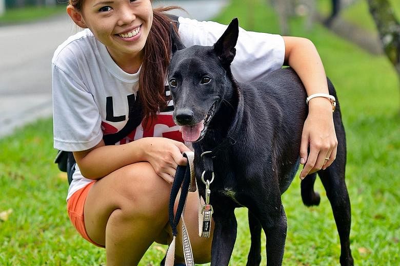 Volunteer Lee Jie Ying, 27, with Tux, which took three years to find a home because of its colour and timid character, which was improved after months of rehabilitation.