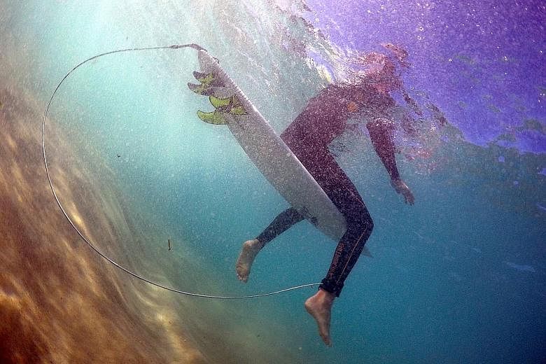 A surfer astride his board, which has an electronic shark repellent device installed, at Sydney's Bondi Beach last month. At least 13 attacks have occurred in New South Wales this year, compared with just three last year.