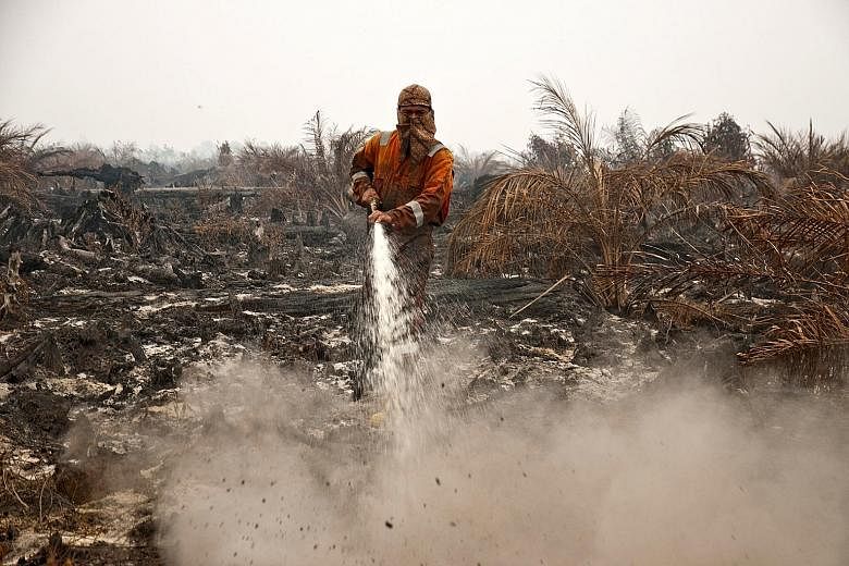 A firefighter from Indonesia's disaster management agency trying to extinguish a peatland fire in an oil-palm plantation in Pelalawan, Riau province, Sumatra, last Saturday. Indonesian Environment and Forestry Minister Siti Nurbaya Bakar is said to b