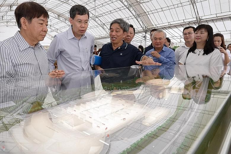(From left) National Development Minister Khaw Boon Wan, Transport Minister Lui Tuck Yew and LTA senior group director Sim Wee Meng viewing a model of an MRT depot last year. Giving an example of how coordinating ministers may improve how policies ar