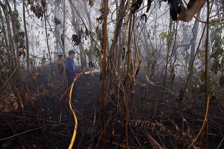 A man putting out a fire approaching Maluen village in Kapuas Regency, Central Kalimantan, yesterday. Some 3,700 soldiers and 8,000 policemen have been deployed to fight fires in Kalimantan and Sumatra.