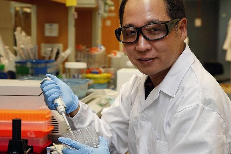 Assistant Professor Kim Chu Young said synthetic biology research helps create antibiotics faster and more cheaply.