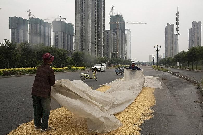 Villagers covering grain being dried on an empty road on the outskirts of Baoding, China. Despite infrastructure being in place, much of Baoding remains empty as it struggles to become a satellite city in Beijing's megalopolis.