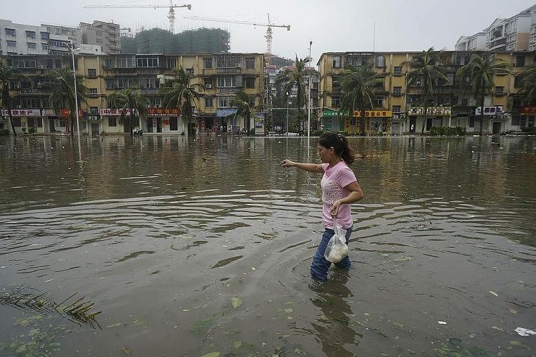 A resident wading through floodwaters in Zhanjiang, Guangdong province, after Mujigae hit the coastal province yesterday. The typhoon felled trees, toppled power poles and flooded roads, although no casualties have been reported.