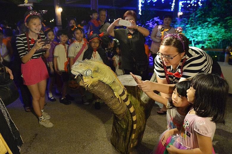 School students waiting in line to have their photographs taken with a green iguana at the preview of Safari Boo, a Halloween event for children to be hosted by the River Safari later this month. Returning for the second year, Safari Boo bills itself