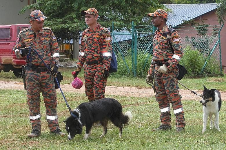 A K9 rescue unit (above) searching in the Tohoi forest reserve. The two girls who were found yesterday were given medical attention before being taken to hospital (right).