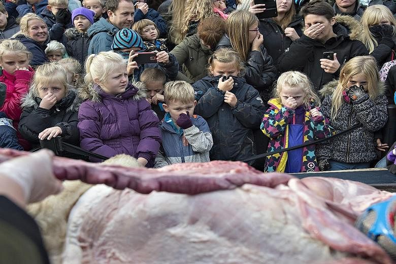 Between 300 and 400 children, some as young as four, gathered for the dissection of the lion, which was put down in February after the zoo failed to find another home for it.