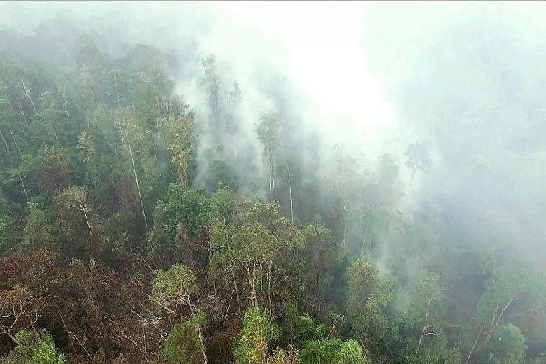A still from drone footage shows fires burning at the Gunung Palung National Park in West Kalimantan last month.