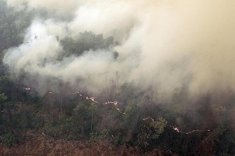 Fires raging in a forest in Ogan Komering Ilir Regency, in South Sumatra province, yesterday. New hot spots have emerged in Papua and Sulawesi, which were not known to be fire-prone until now.