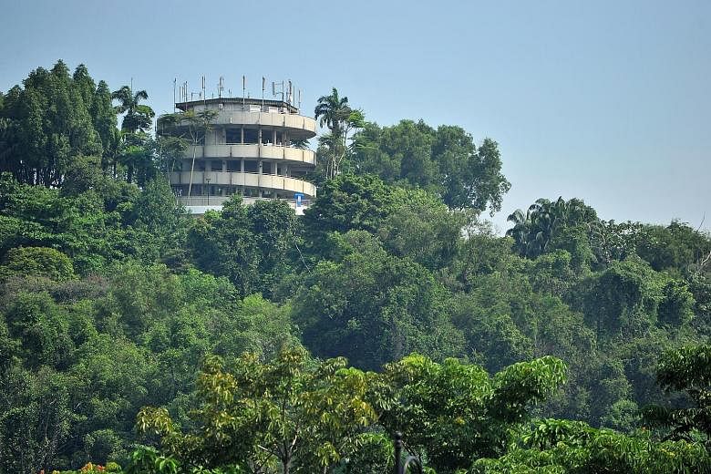 Poised atop Jurong Hill, the lookout tower offers visitors a panoramic view of the surrounding area.