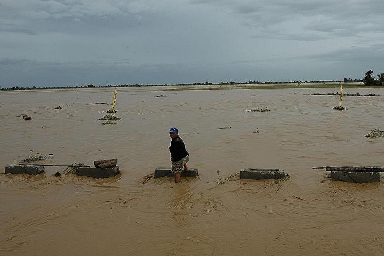 A resident surveying the devastation on a flooded highway and inundated rice field (background) in Santa Rosa town, north of Manila. Typhoon Koppu wiped out vast swathes of farmlands, sinking poor farmers deeper into debt in the rice-growing central 