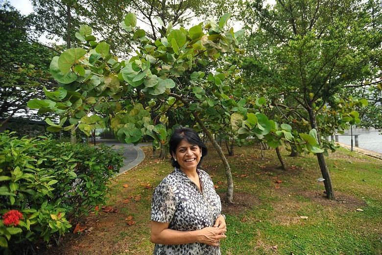 Mrs Mekani stands at the site in Labrador Park where the first tree was planted under the Plant-A-Tree Programme.