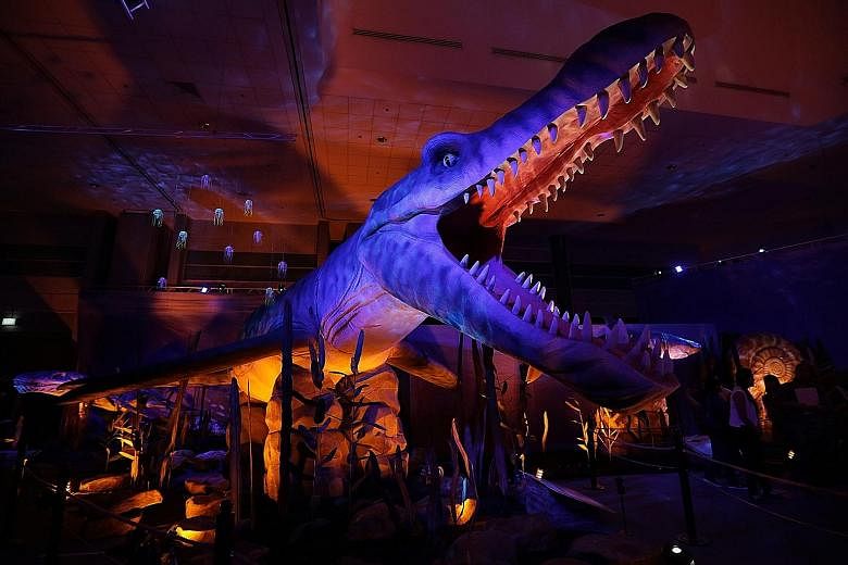 A re-creation of the pliosaurus, a massive marine reptile that existed during the late Jurassic period more than 145 million years ago, is among the displays at the Monsters of the Sea exhibition at the Science Centre. In all, the show will feature a