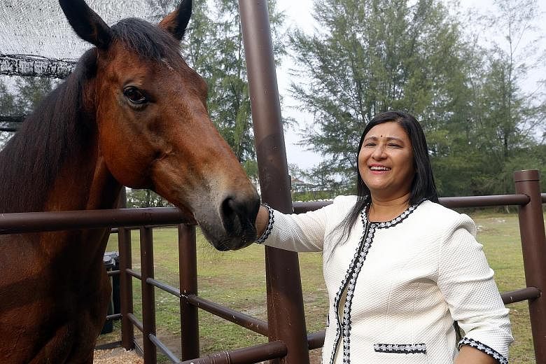 Besides Punggol Ranch, Mrs Mani Shanker has two other stables, one in Pasir Ris and the other called Horsecity in Bukit Timah.
