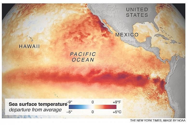 The interplay of different kinds of warming going on in the Pacific, including El Nino and another zone of warm water dubbed "the Blob", can be difficult to sort out, so attributing a weather event to a single cause is unrealistic, say experts. The s