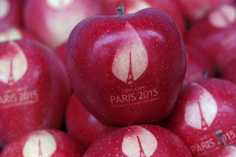 Apples bearing the World Climate Change Conference logo. For leaders at the talks, domestic constraints could make it hard for their efforts to bear fruit.