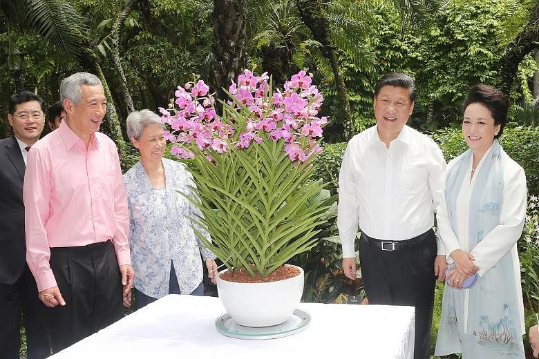 Prime Minister Lee Hsien Loong, his wife Ho Ching, President Xi Jinping and Madam Peng Liyuan appreciating the Papilionanda Xi Jinping-Peng Liyuan, an orchid hybrid named after the visiting dignitaries, at the Botanic Gardens. PM Lee and Ms Ho hostin