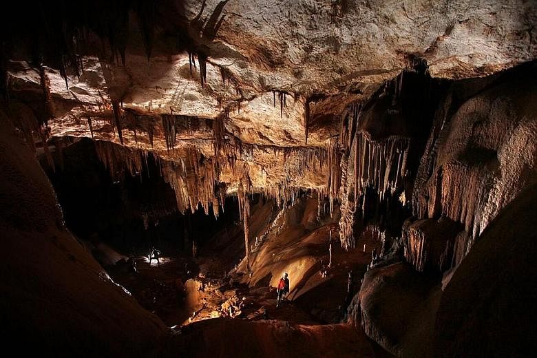 This six-million-year-old cave was discovered by famed British subterranean explorer Andy Eavis, 68, in Sarawak last month, and he named it "Conviction Cave" for good reason. It had taken him 24 expeditions since 1977 to make the find. The "virgin ca