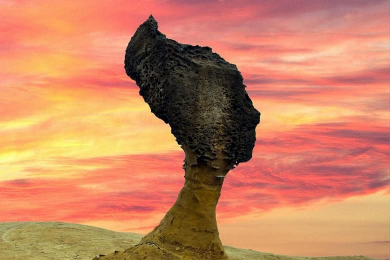 The imposing Queen's Head sandstone formation in Yehliu Geopark in Taiwan. Its neck may soon become too thin from thousands of years of erosion to support the head.