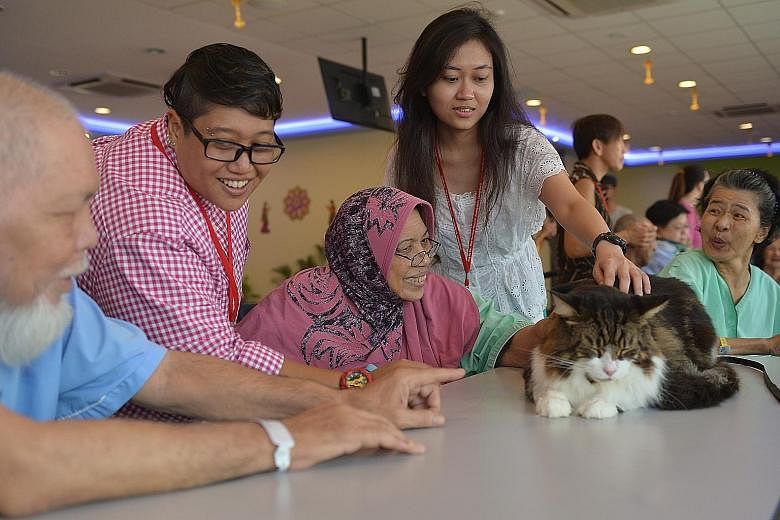 SPH staff Samsiah Hassan (in checked top) and Noor Faezah Abdul Hamid with Madam Siti Aminah Siregar at the therapy session conducted by Cat-Assisted Therapy Singapore at Ang Mo Kio - Thye Hua Kwan Hospital. It was the group's first collaboration wit