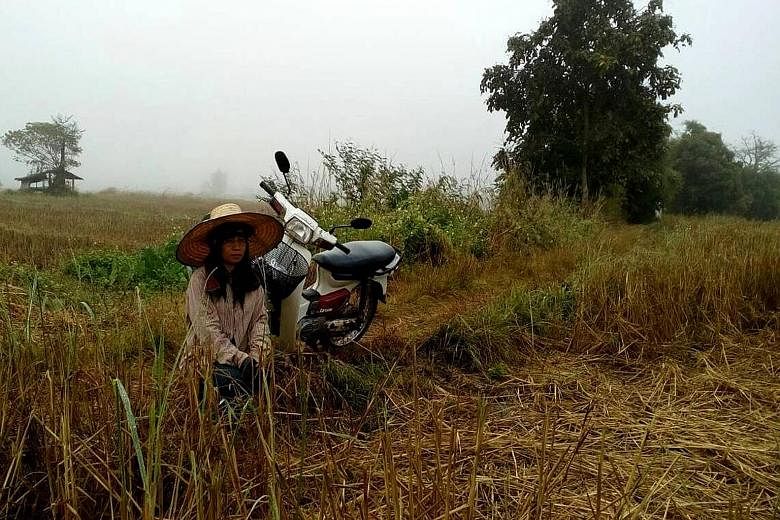 Ms Meena Chaimongkol, a 46-year-old single mother, says she has lost 70 per cent of her family's padi crop this year because of erratic water supply. To make up for the loss of income, she has resorted to going to Bangkok once a month to buy used clo