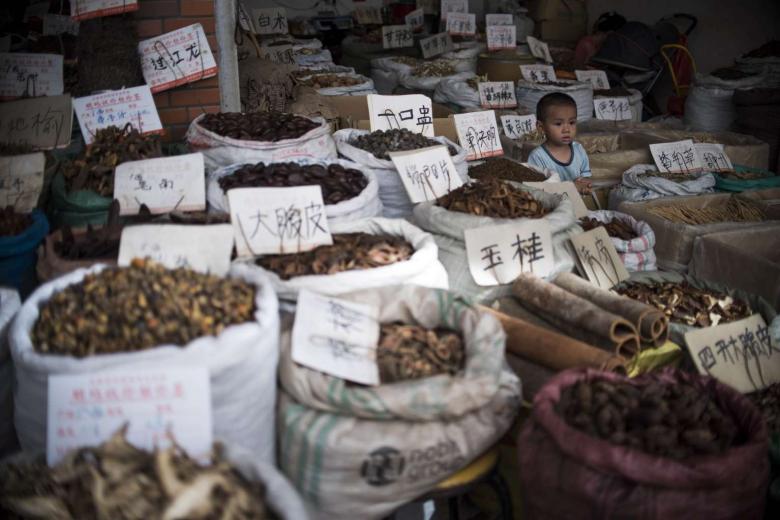 Treasures of traditional Chinese medicine: China Daily | The Straits Times