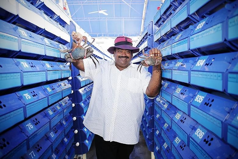 Gills 'N' Claws Aquaculture's vertical crab farm is the brainchild of owner Steven Suresh. The farm can house up to 40,000 Sri Lankan mud crabs.