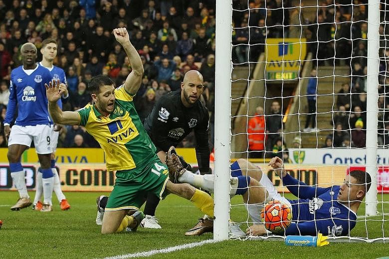 Wes Hoolahan (left) poking his close-range equaliser over the line in Norwich City's 1-1 home draw with Everton.