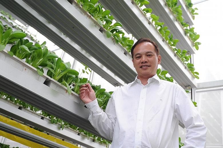 Mr Jack Ng's 9m-tall system with tiers of planting troughs clinched the biennial Index: Award in Denmark in August.