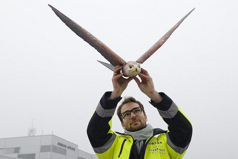 An expert from Dutch Clear Flight Solutions company with a falcon-shaped drone at the Debrecen International Airport, 226km east of Budapest in Hungary, on Tuesday. The XANGA Group, which operates the airport, put two kinds of drones to test, to exam