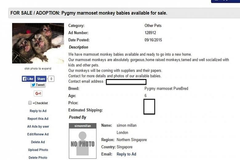 Listings found online included ads for (from left) marmoset monkeys, a sugar glider, a ball python and a tiger cub. Out of 17 sellers Acres contacted at random, 14 confirmed that they were selling such animals.