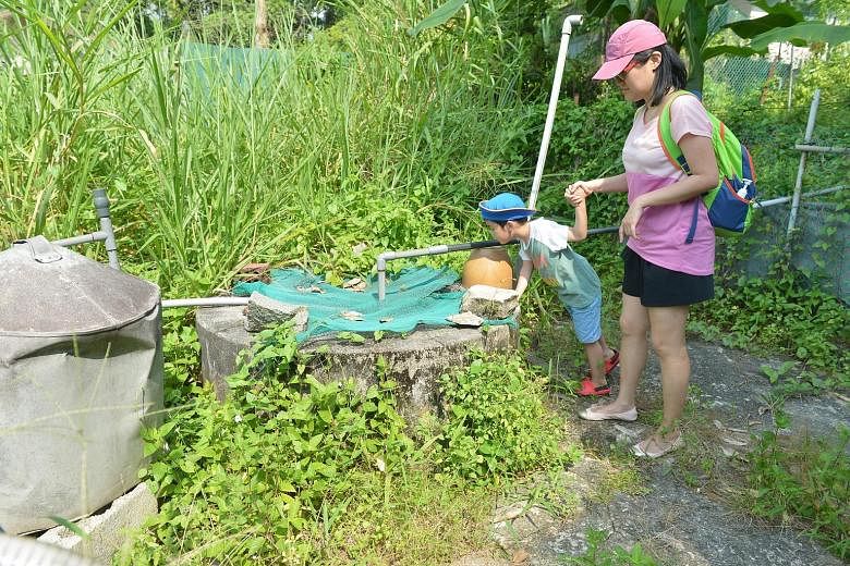 Ms Goh Lai Guat (far right), 60, and her sister pushing trolleys of supplies and bottled water to their food stall on Pulau Ubin after an advisory from the authorities on the usage of well water. Top, visitors looking at a well which is covered to pr