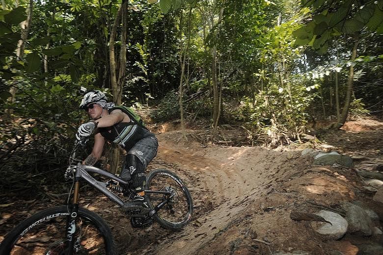 The 2km Kent Ridge Park mountain bike trail, with its narrow pathways, steep inclines capped by large rocks and tree roots, and sharp descents, is one of the more challenging trails here. Updates on investigation works and when the trail will re-open