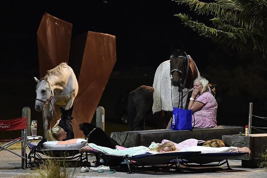 A distressed woman tending to horses as children sleep on fold-out beds in the main street of Lorne, south of Melbourne. Top emergency officials warned that dry conditions posed a threat of more fires for the Great Ocean Road area and the rest of Vic