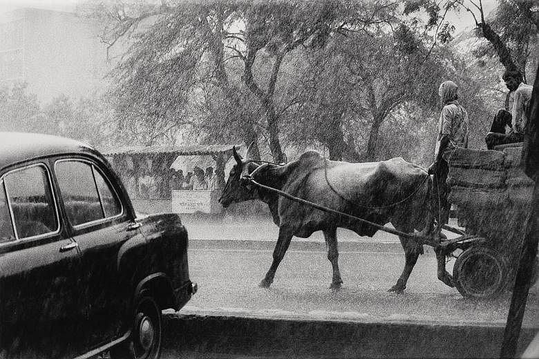 Monsoon downpour in Delhi (1984) by Raghu Rai.