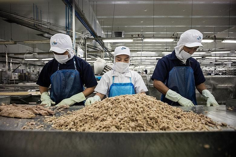 A tuna processing factory of the Thai Union Group. The world's largest canned tuna producer has been acquiring so many big-name seafood firms that it became embroiled in an anti-trust probe in the US. The company has also been the target of investiga