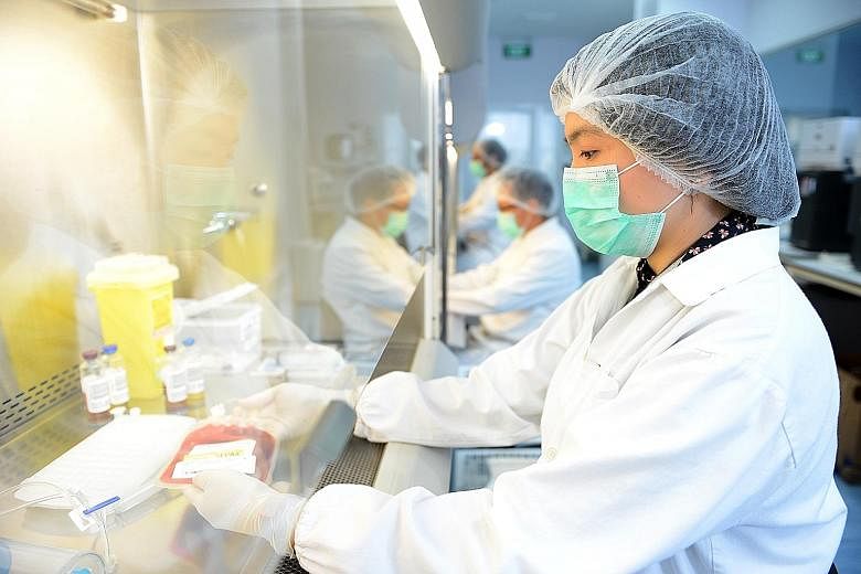 Cordlife Group, one of the stellar performers in the healthcare sector, jumped 63.4 per cent or 56.5 cents to $1.455 as of Dec 31. Other star performers were cleanroom products maker Riverstone Holdings, Q&M Dental Group (Singapore) and Biosensors In