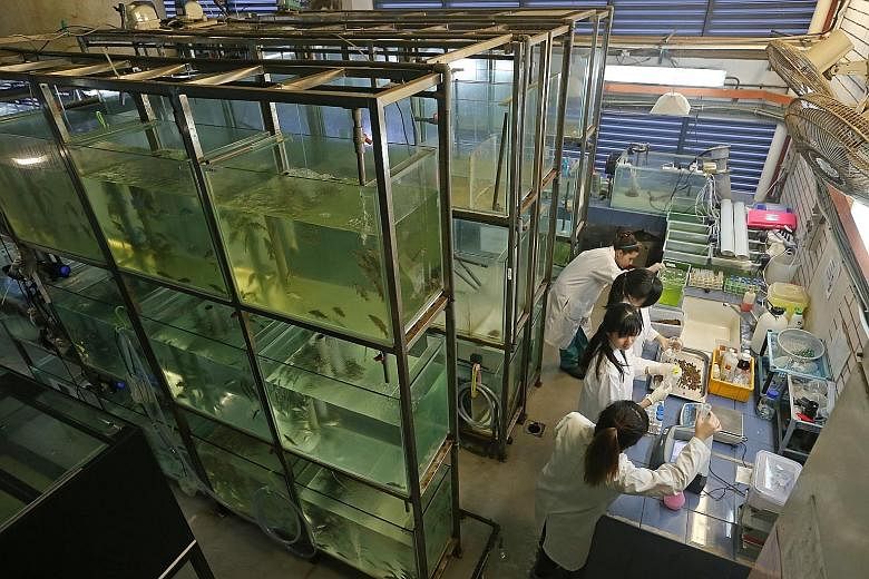 SkillsFuture Credit can be used for Temasek Polytechnic's fish nutrition course, which is useful to those working in fish farms as well as people who keep aquariums at home.