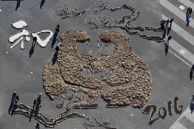 To celebrate the Year of the Monkey, a 24m by 25m image of two monkeys has been formed at Hitachi Seaside Park in Hitachinaka city in Japan's Ibaraki prefecture, some 100km north of Tokyo. This shot, taken from above yesterday, shows visitors enjoyin