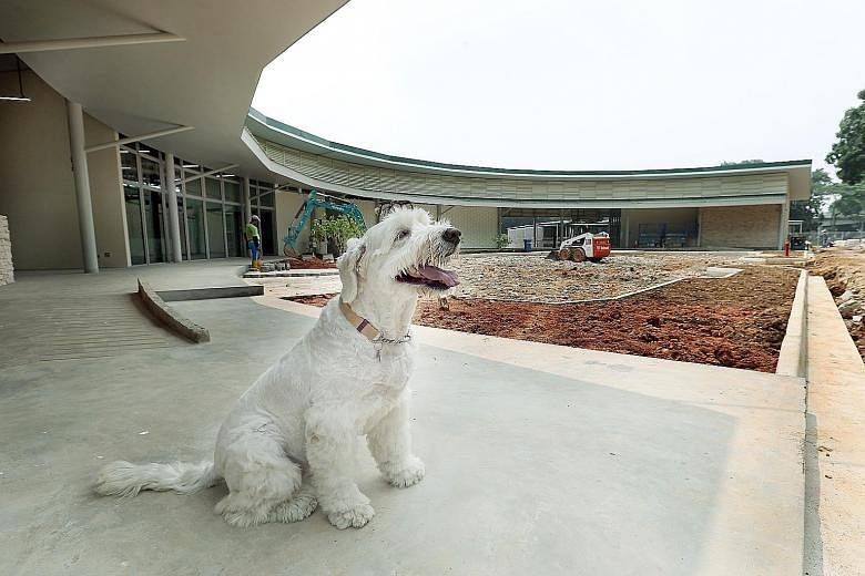 The SPCA's new 7,700 sq m home in Sungei Tengah is three times larger than its current one in Mount Vernon Road, and can house about 350 animals. The public has been advised to avoid both areas from next Monday to Jan 26, due to the movement of heavy