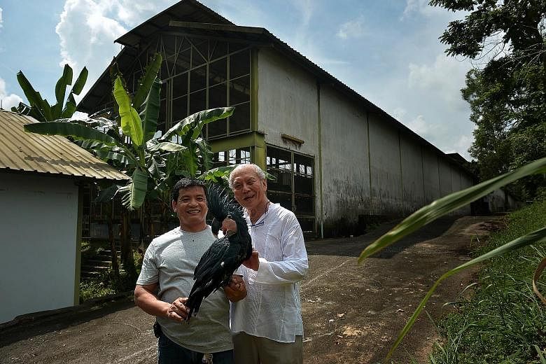 Mr Rosendo Jacildo, 45, curator (left) and Mr Daniel Teo, 72, co-founder of the Mandai Birds Sanctuary, showing off a three-month old black palm cockatoo which is an endangered species.