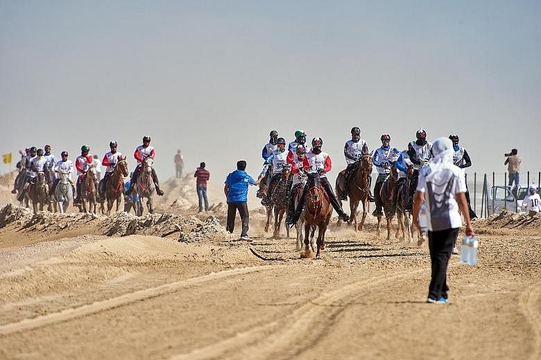 The health of the horses is paramount. Volunteers line the dusty circuit with water bottles to hand to the riders, who mostly pass on a sip but empty the contents onto their mounts to keep them hydrated.