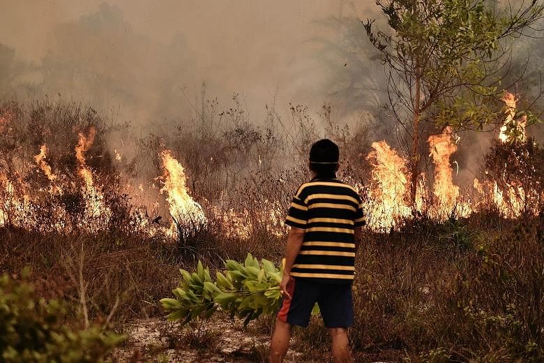 A peatland fire burning on the outskirts of Palangkaraya city, CentralKalimantan, last October. Local officials face the axe if they cannot control the spread of land and forest fires in their provinces.