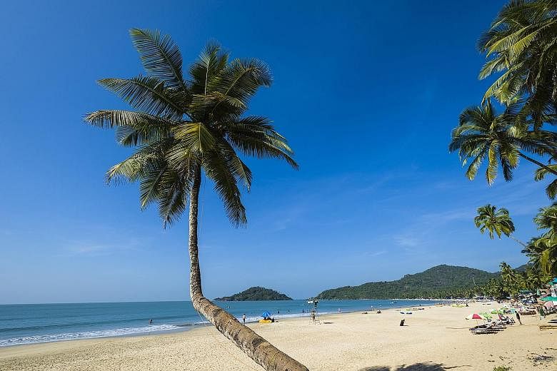 Goa's legislative assembly last week reclassified the coconut tree as a palm.