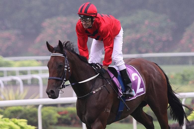 After a superb year, Stepitup has been invited to run in one of Australia's richest races in April - the A$4 million(S$4 million) Group 1 Queen Elizabeth Stakes over 2,000m at Randwick in Sydney.