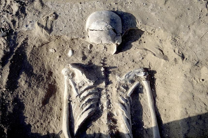 Of the 12 relatively complete skeletons found at Lake Turkana in Kenya, 10 showed unmistakable signs of violent death. One was of a woman (above) pregnant with a six- to nine-month-old foetus, who was killed by a blow to the head. The position of her